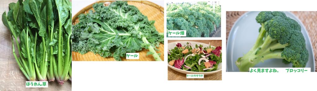 暗色野菜